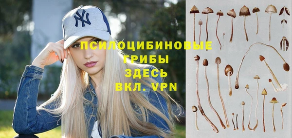 герыч Майский