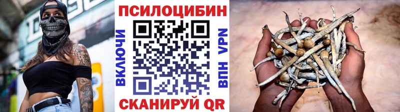 Псилоцибиновые грибы мицелий  Емва 